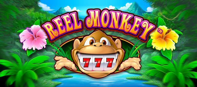 junglee rummy app download for android icon